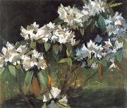 William Stott of Oldham White Rhododendrons china oil painting artist